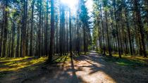 Climate change: 10 myths about net zero targets and carbon offsetting, busted
