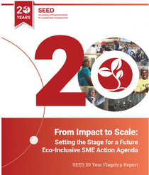 From Impact to Scale - the SEED 20 Year Flagship Report