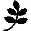 branch-with-leaves-black-shape.png